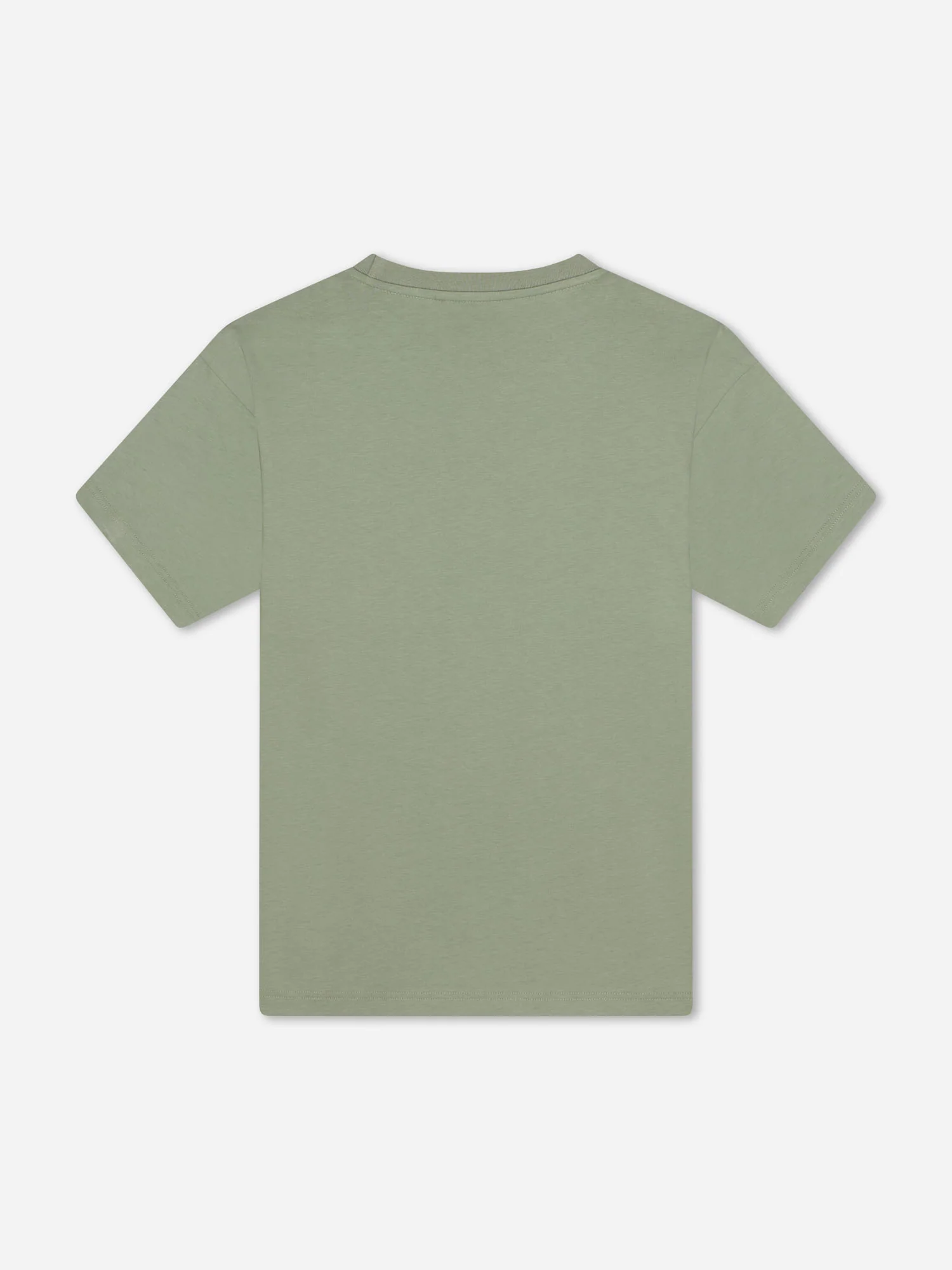 NICCE Mens Mercury T-Shirt | Sage - Image 8